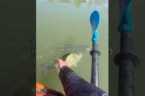 Top 5 lures for SPRING!😳 #fishing #shorts