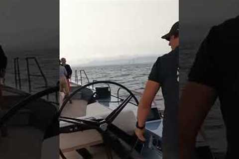 'When you go through jibes and tacks, you have to have your crew members manning those two winches'