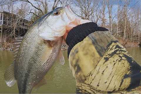 Great Day of February Bass Fishing on Lake Wylie, SC!