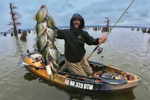 This Stump Field Was LOADED with GIANT SLABS! -- CATCH and COOK Southern Style (Jigs &amp; Bobbers)