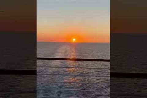 Those cruise sunset views 😍