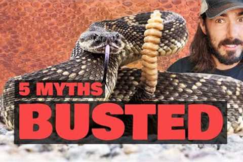 5 Rattlesnake Myths BUSTED (You Won’t Believe #3)