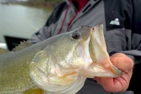 Luckiest Fish Catch -- Spring Fishing on Lake Fork