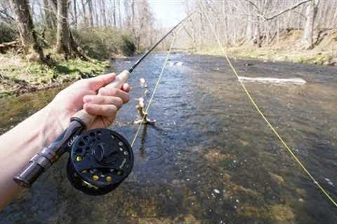My First Time FLY Fishing!! (Was not expecting this..)