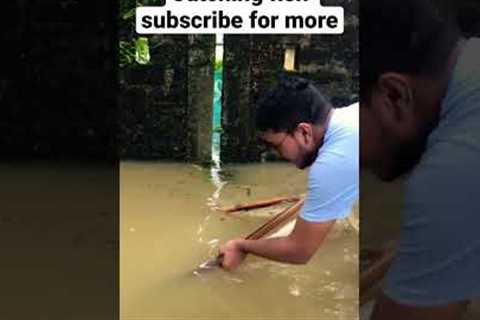 Catching fish in flood time #foryou #fishing