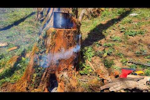 Survival Skills: Amazing DIY Stove from a Tree Stump in the Wild. Bushcraft. Camping