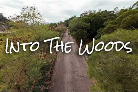 Into the woods | GepRC CineLog30 V3 | DJI Air Unit O4 Pro | Cinematic FPV | 4K