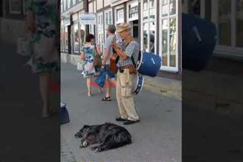 Street musician plays guitar on the street. Sokak müzisyeni caddede gitar çalıyor. #guitar