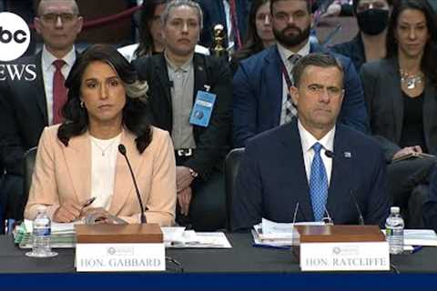 Senator grills Gabbard on Signal chat leaks: ‘Show the texts now’