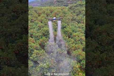 INSANE Drone Tech is REVOLUTIONIZING Farming! #drone #agriculture #technology #amazing #future