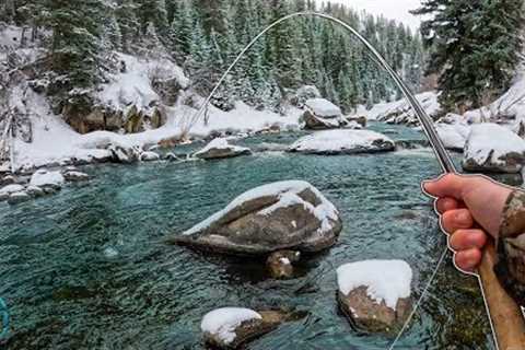 Fly Fishing an awesome creek LOADED with trout! (New PB!?)