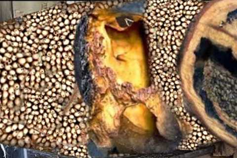 Sawmills Spend Tens of Millions of Money for 1 Large Teak Wood