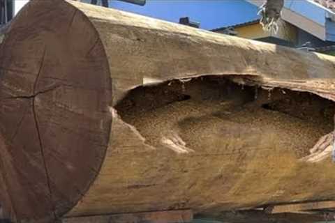 oddity destroy the monster wood in sawmill! what happened?