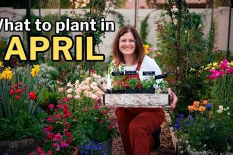 APRIL PLANTING GUIDE + Top Tips for Gardening in the Desert