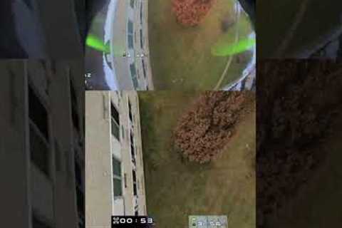 we've all been there #fpvdrone #hdzero #quadmula #gopro