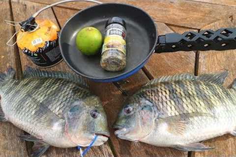 Catch n' Cook BIG, FAT Tilapia!