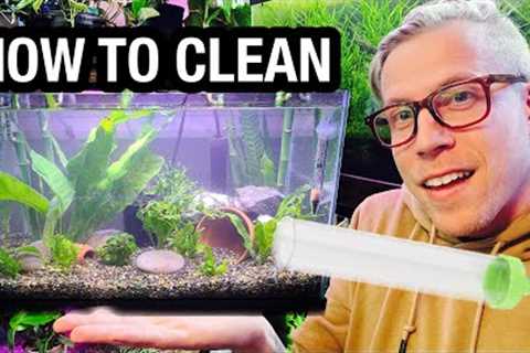 How to Clean Your Fish Tank - NEED to Know