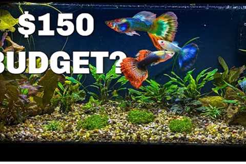 Buying EVERYTHING You Need for an AQUARIUM on a BUDGET
