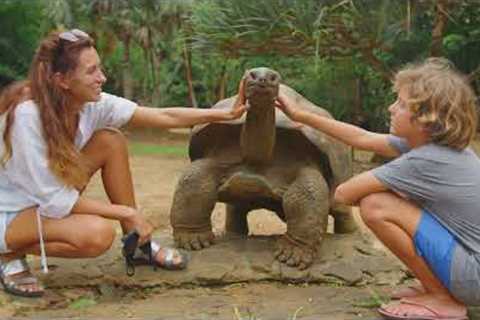 Hilarious Training Tips for Exotic Pets!