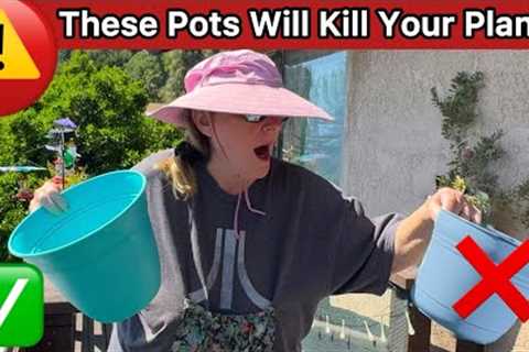 Container Gardening WARNING ⚠️ Preparing Patio Deck Garden for Spring to Grow Vegetables &amp;..
