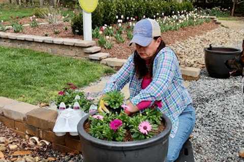 Planting Annuals, Lots of Weeding, &amp; Tulip Tour in Signature Garden