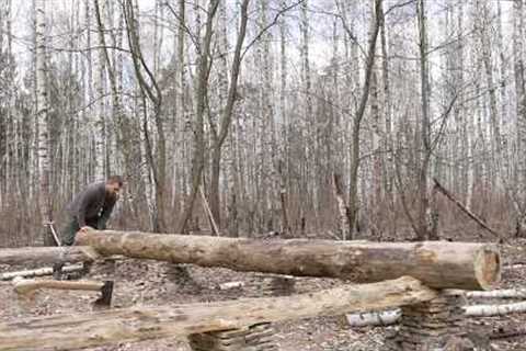 I am building big log cabin using the methods of our ancestors