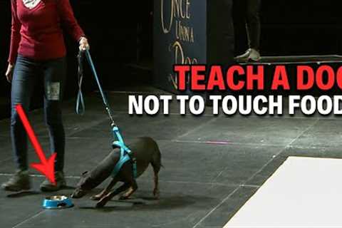 How To Teach Your Dog To Not Rush To Food | Live Dog Demos