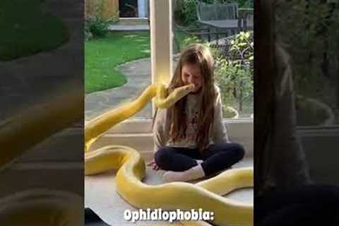 Fear of Snakes | Pet Phobias