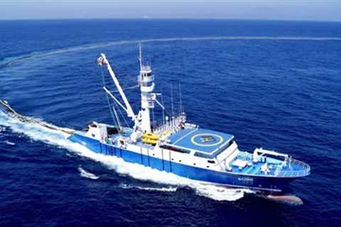 Amazing Catching Thousands Tons of Tuna Fish With Modern Big Boat - Fastest Squid Fishing Trawl