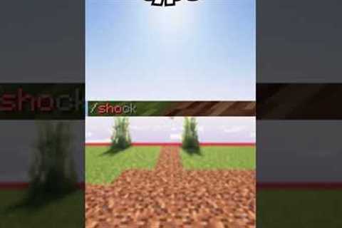 Reasons To Never Play The DonutSMP ☝️