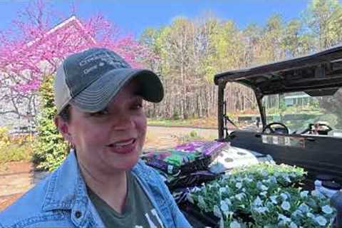 Adding My Favorite Petunia to the Patio Garden!