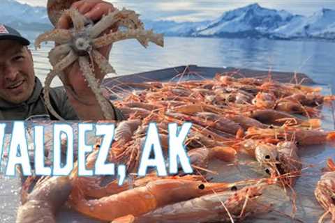 8-Day Alaska Adventure | Shrimping, Fishing, &amp; Squid CATCH &amp; COOK in Prince William Sound!