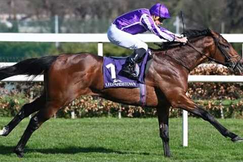 Derby contender? DELACROIX bolts up at Leopardstown | Racing TV