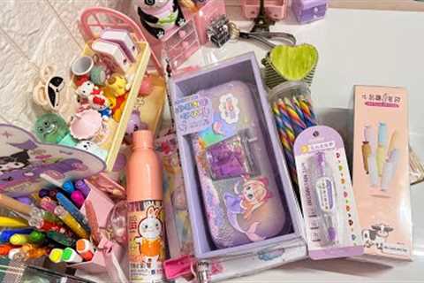 Weekly Stationery/ stationery supply/ organising asmr #schoolsupplies #stationery #sanrio