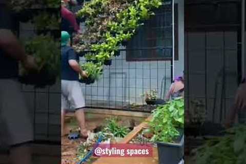 PRIVACY#PARTITION#IDEA#BY#VERTICAL#GARDEN#PLANTS#DECOR AND DESIGNING #FOLLOW#FOR#MORE#