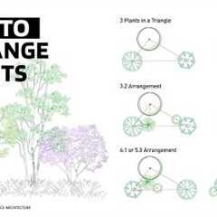 How to Arrange Plants for Landscape Design