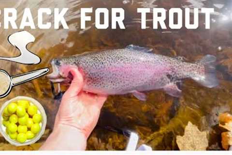 Cheat Code for Catching Stocked Rainbow Trout