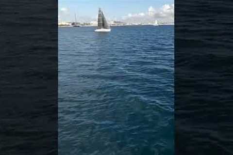 'Beautiful flat water, light wind conditions' #sailing #sailingtrips #yachtie #yachtlife #yachts