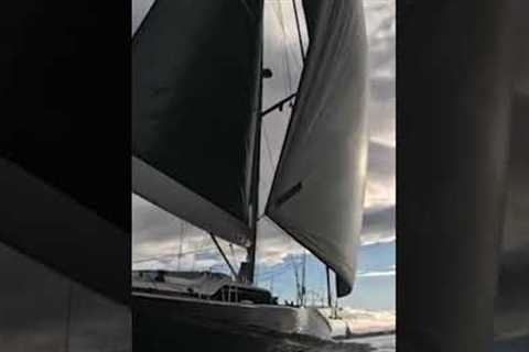 What sunny sailing dreams are made of. #palmademallorca #yachting #sailingadventures #sailingtrips