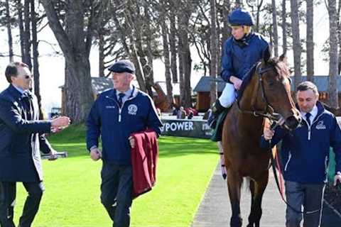 Back with a bang! HENRI MATISSE strikes for Aidan O'Brien at Leopardstown | Racing TV