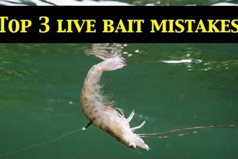Top 3 LIVE BAIT RIGGING MISTAKES (Underwater Evidence)