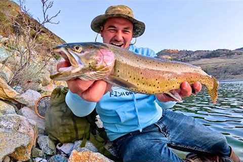 I caught a GIANT Trout and made crispy Fish n' Chips!!! (Catch &amp; Cook)