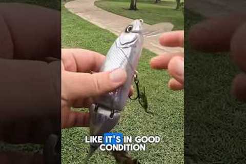 I found a SUPER expensive and rare fishing lure!