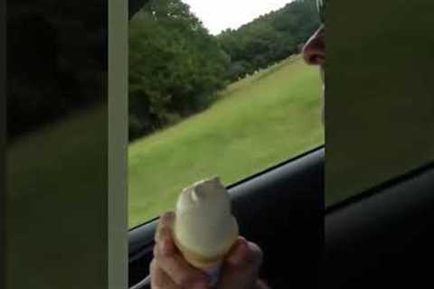 Epic Fails: Funny Sports Bloopers!