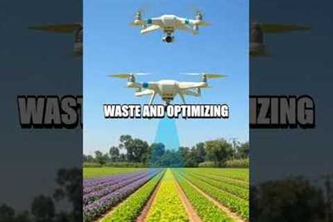 The Role of Drone Technology in Precision Agriculture