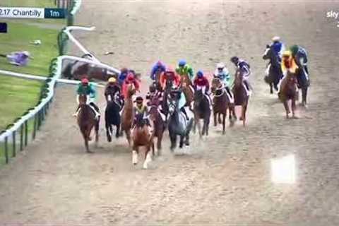Horse dies has heart attack during race in France