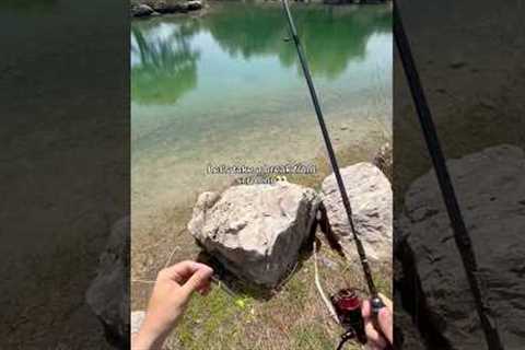 Take a break from SCROLLING!🗣️ #fishing #shorts