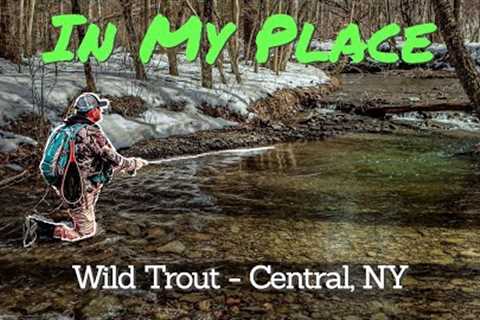 First Trip of 2025! | Fly Fishing Wild Trout - Central NY