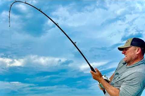 Sharks have RUINED Florida!!! (Catch Clean Cook} Ponce Inlet