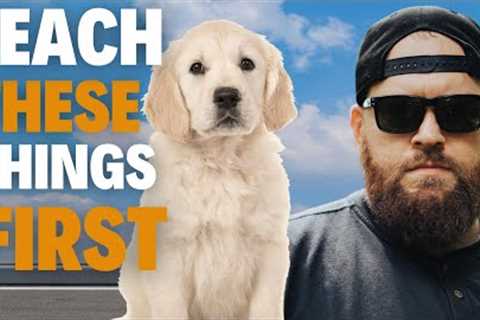 The First 3 Things You MUST Teach Your Dog!